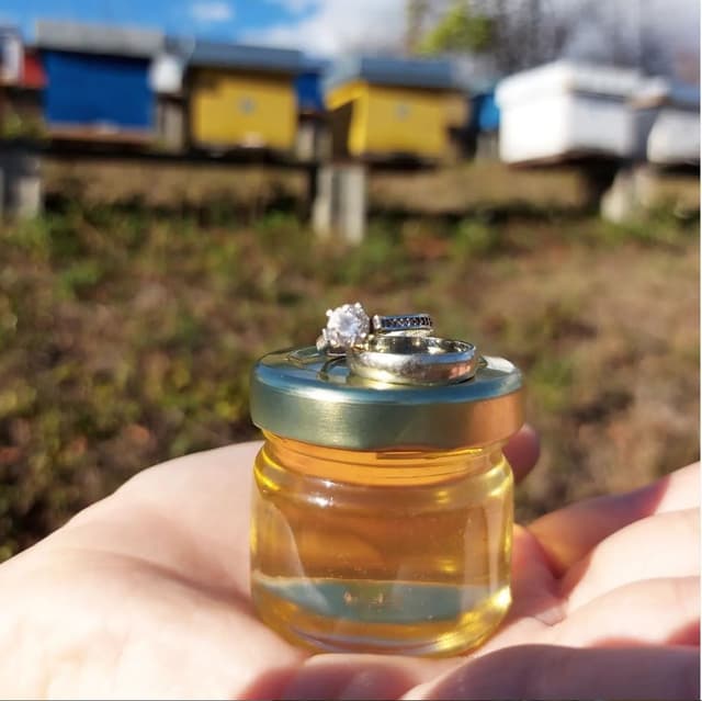 Bagremov Med 0.03 kg